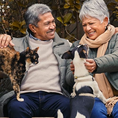 Soft Tissue and Laser Surgery Soft Tissue and Laser Surgery