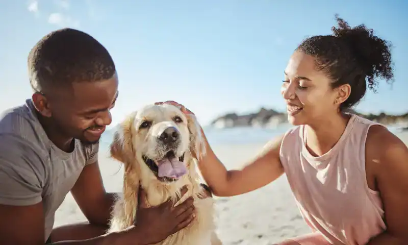 A couple on the beach with their dog