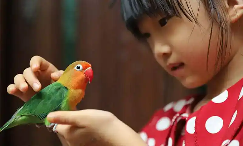 A girl playing with her bird