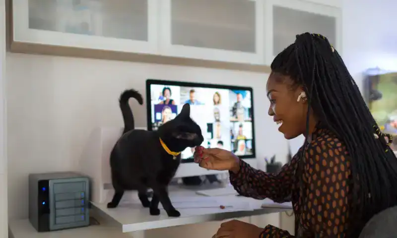 A woman with her cat on the desk