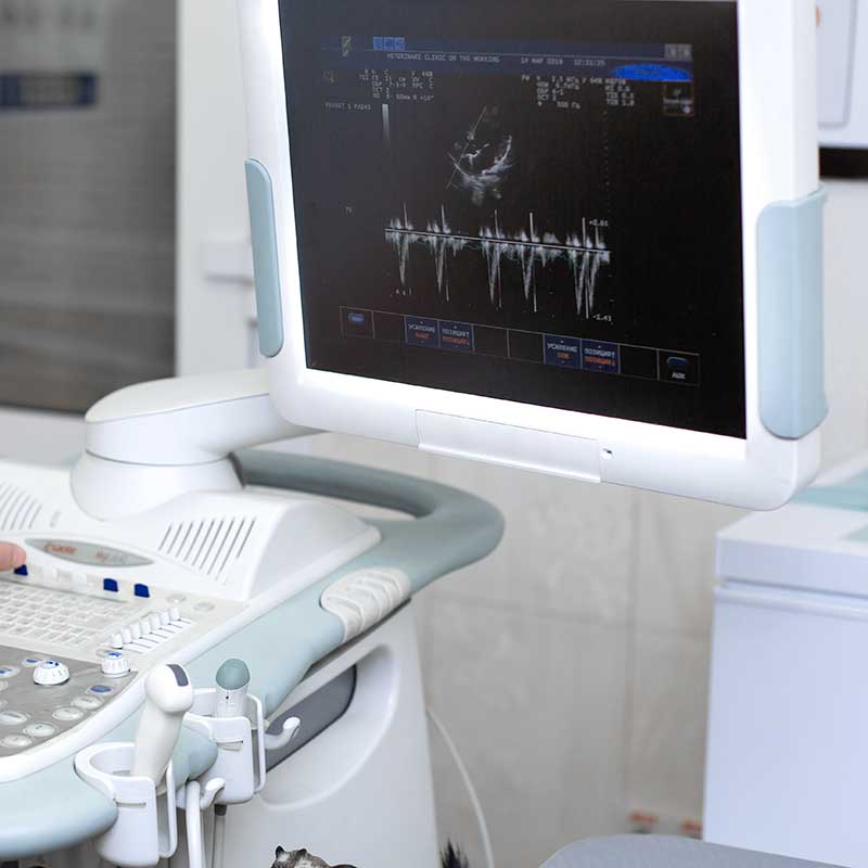 An ultrasound machine An ultrasound machine