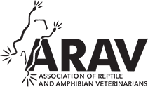 ARAV Logo