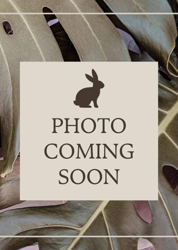 Holly , Veterinary Assistant