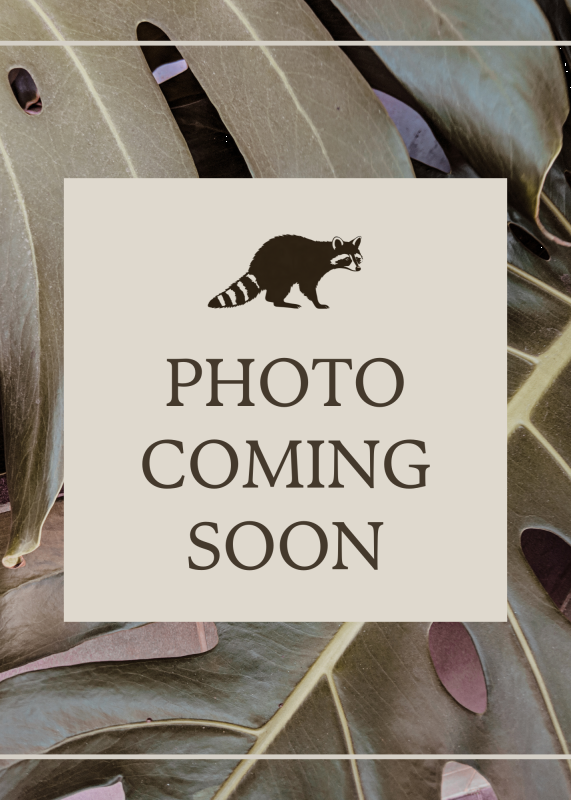 Bre , Veterinary Assistant